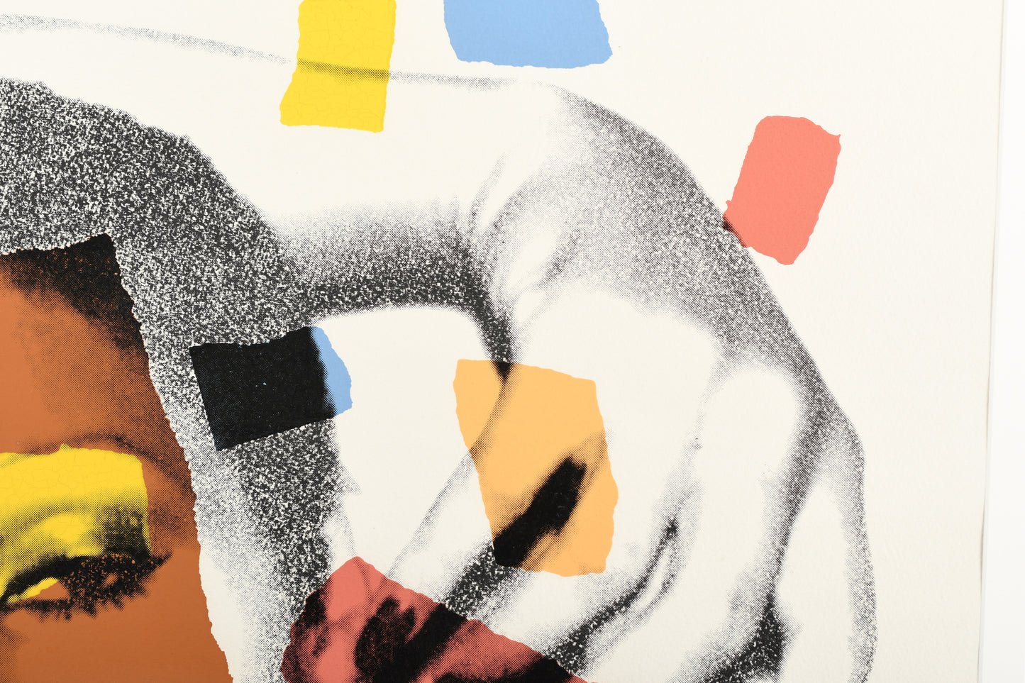 Andy Warhol 'Ladies and gentlemen'